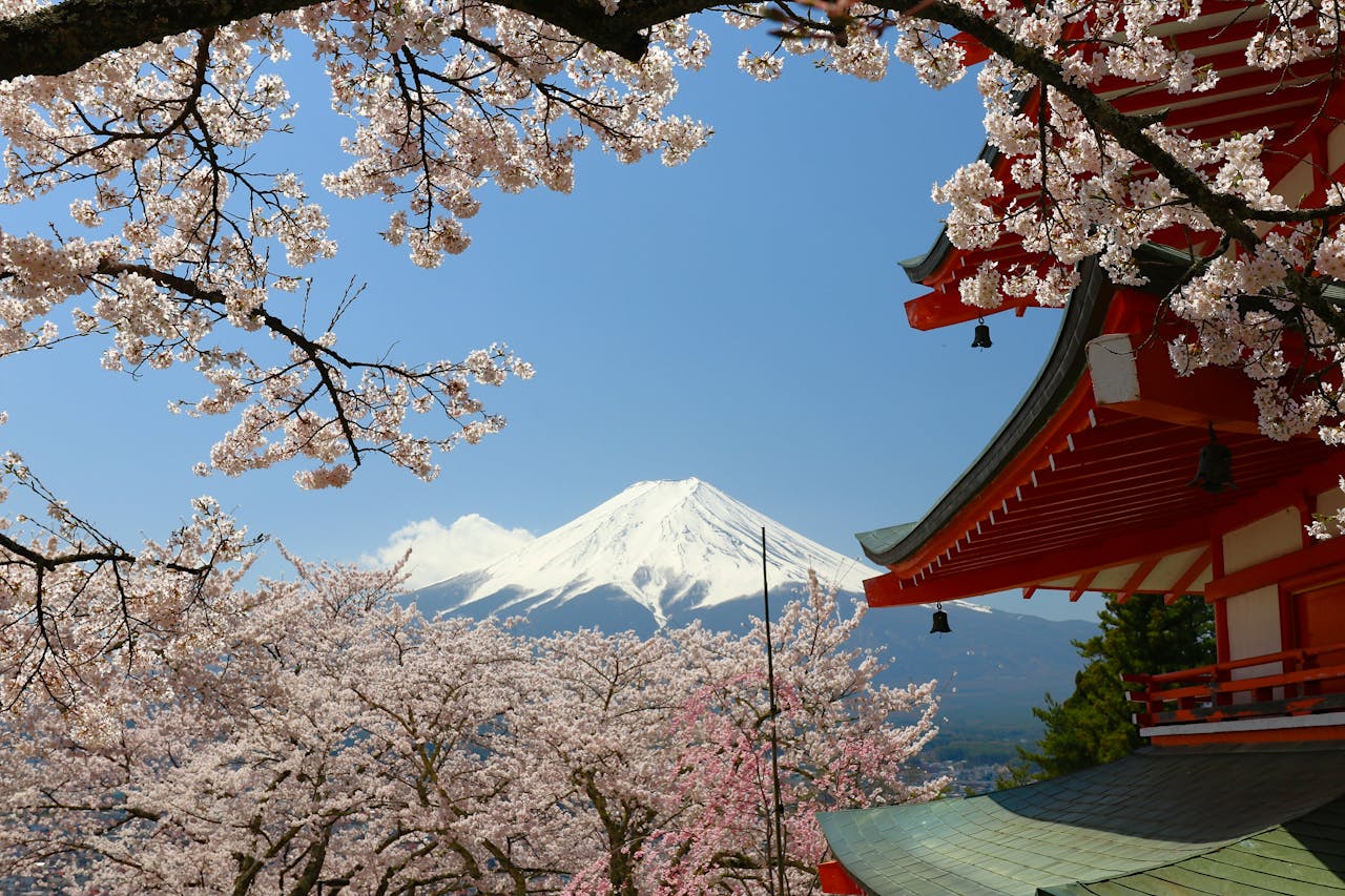 Beautiful cherry blossoms framing Mount Fuji and Chureito Pagoda in spring, Fujiyoshida.